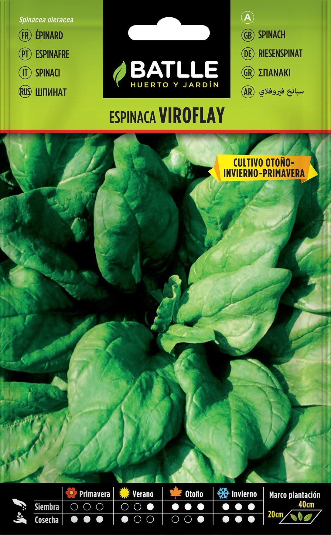 Sachet de graines de legumes EPINARD VIROFLAY 1.5G