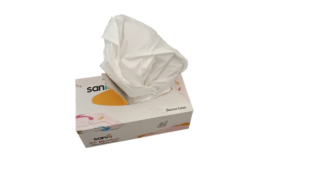 Pack 24 Boite Papier Mouchoirs SANILI en Pure Ouate de Cellulose